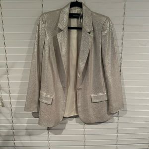 ZARA glitter shimmer shine silver metallic blazer